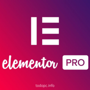 Elementor 1 año 1 Web