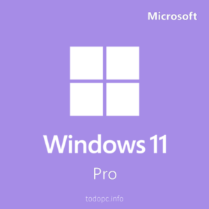 Windows 11 Pro +